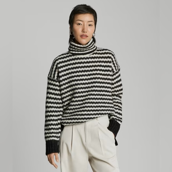 Everlane Sweaters - EUC Everlane Cloud Black & White Striped Turtleneck Sweater
